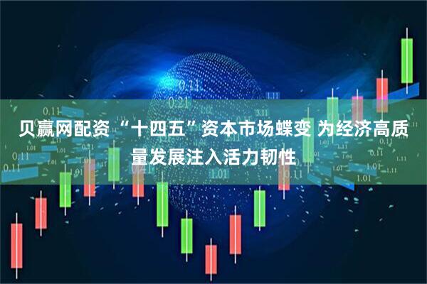 贝赢网配资 “十四五”资本市场蝶变 为经济高质量发展注入活力韧性