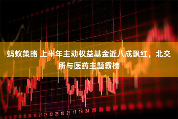 蚂蚁策略 上半年主动权益基金近八成飘红，北交所与医药主题霸榜